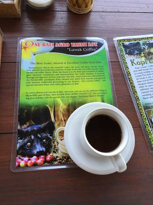 Sari Amerta Luwak Coffee 5