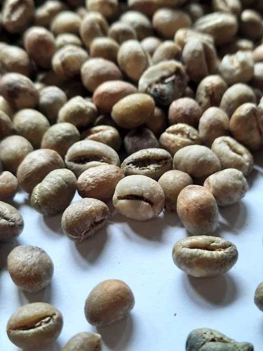 Jual Beli Kopi Robusta Dan Arabika, Roasting Dan Bubuk Asli 6