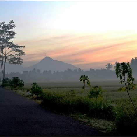 Tongkrongan Ngopi 2