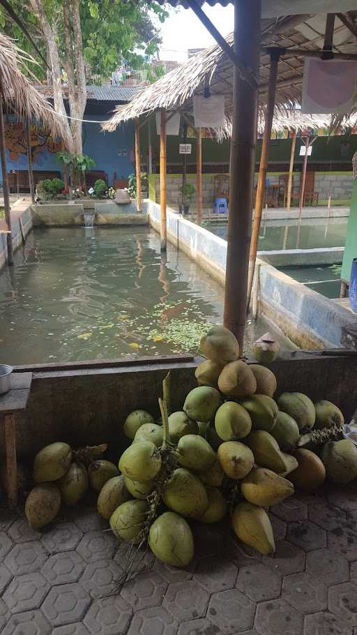 Kampung Ikan Abel 5