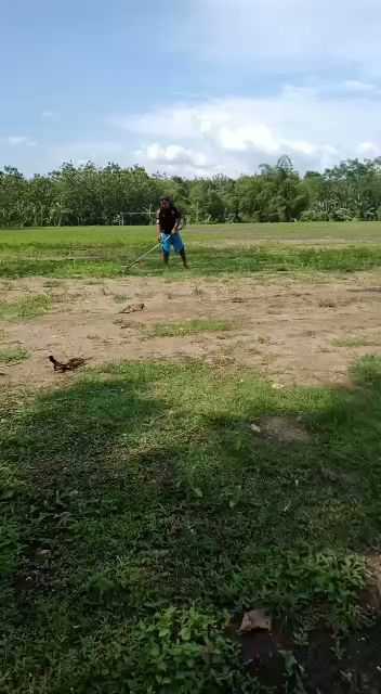 Mie Ayam Lek Pangat Padas 6