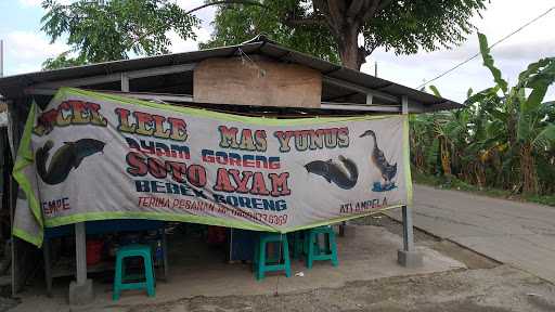 Warung Pecel Lele Mas Yunus 6