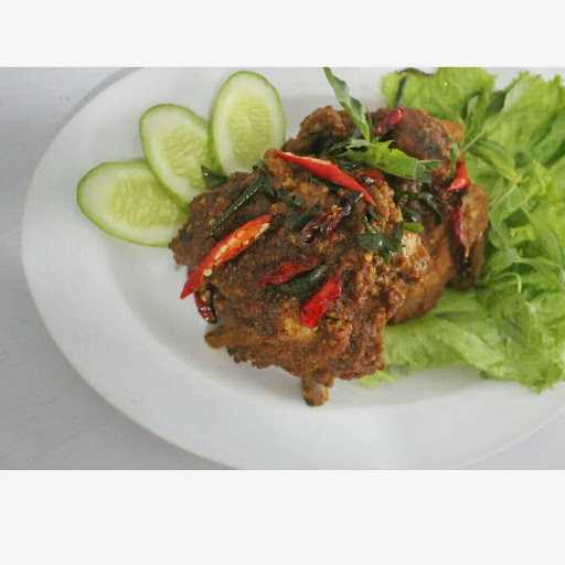 Ayam Keliling Dunia 7