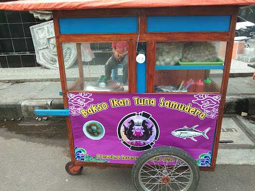 Baso Ikan Tuna Samudera 1