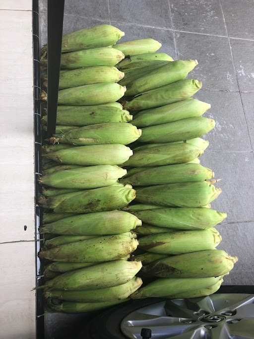 Jagung Bakar Mr Hociak 1