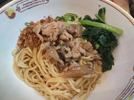 Golden Lamian 5