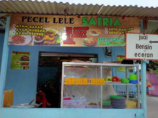 Pecel Lele Satria 9