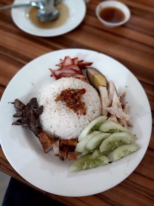 Apollo Nasi Ayam Hainam 7