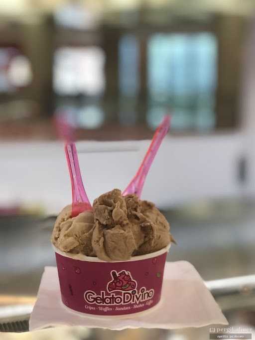 Gelato Divino Ice Cream 3