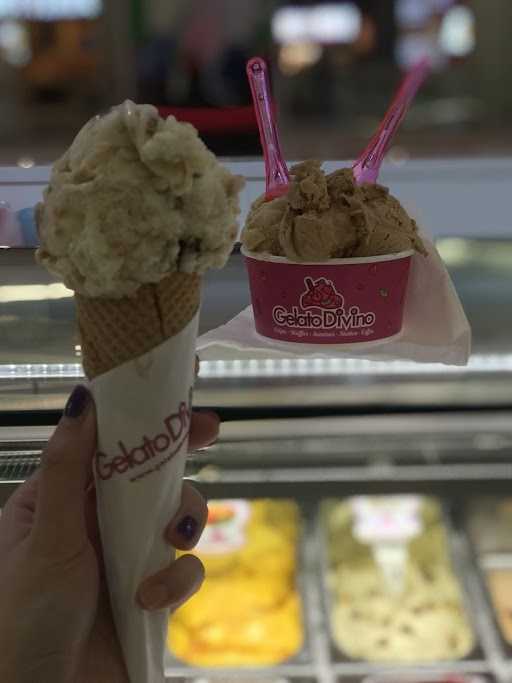 Gelato Divino Ice Cream 1