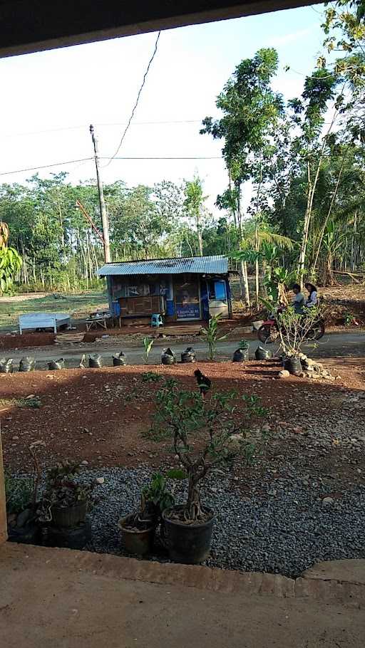 Warung Mie Ayam Bakso Pak Hadi 3