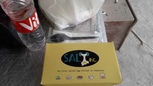 Salt Inc 1