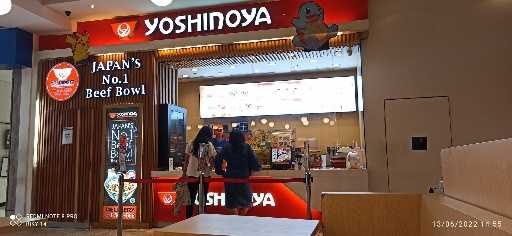 Yoshinoya Lippo Mall Puri 3