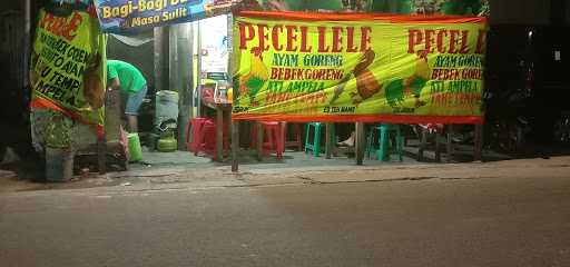 Pecel Lele Fitria 3