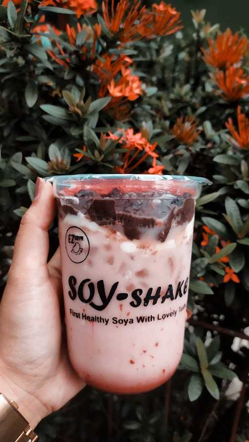 Ez Soya Soy-Shake 2