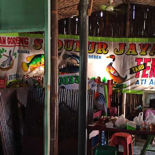 Warung Pecel Lele Sedulur Jaya 10