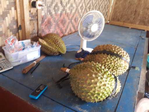 Duren Bawor Pak Kadam 8