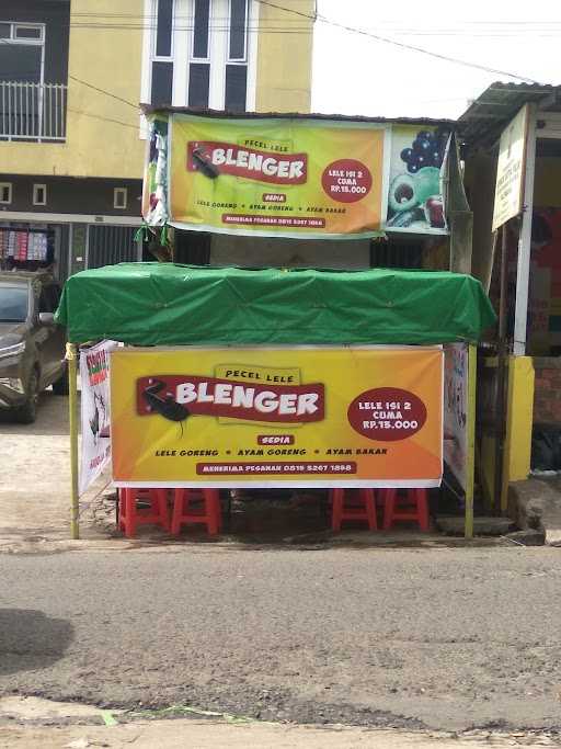 Pecel Lele Blenger Palembang 3