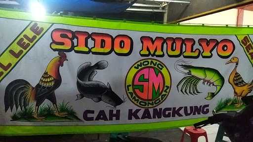 Pecel Lele Sido Mulyo 2