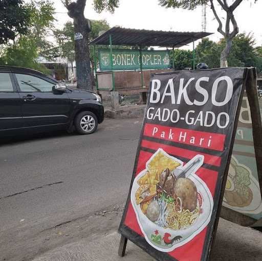 Gado Gado Pak Hari 4