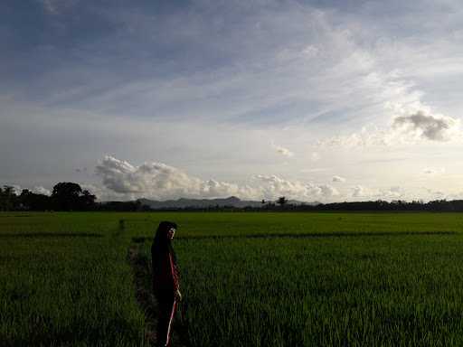 Warung Pedaringan 8