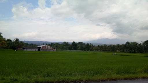 Warung Nasi Sari Ayu 1 8