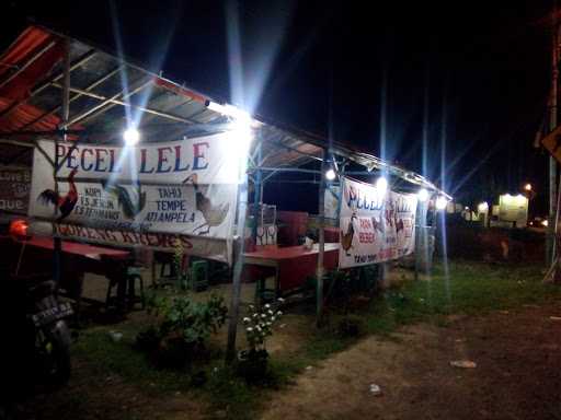 Pecel Lele Bang Coupral 2