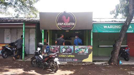 Ayam Kedaton 9