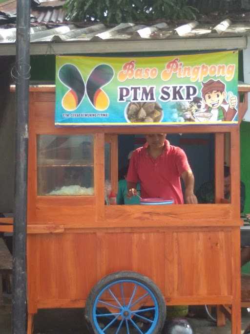 Bakso Pingpong Ptm Skp 1