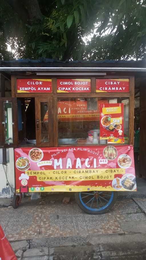 Cipak Koceak Maaci 2