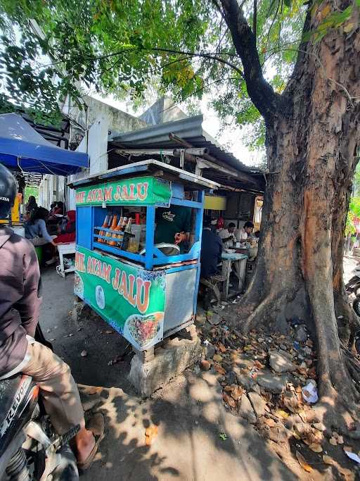 Warung Mi Ayam Jalu 5