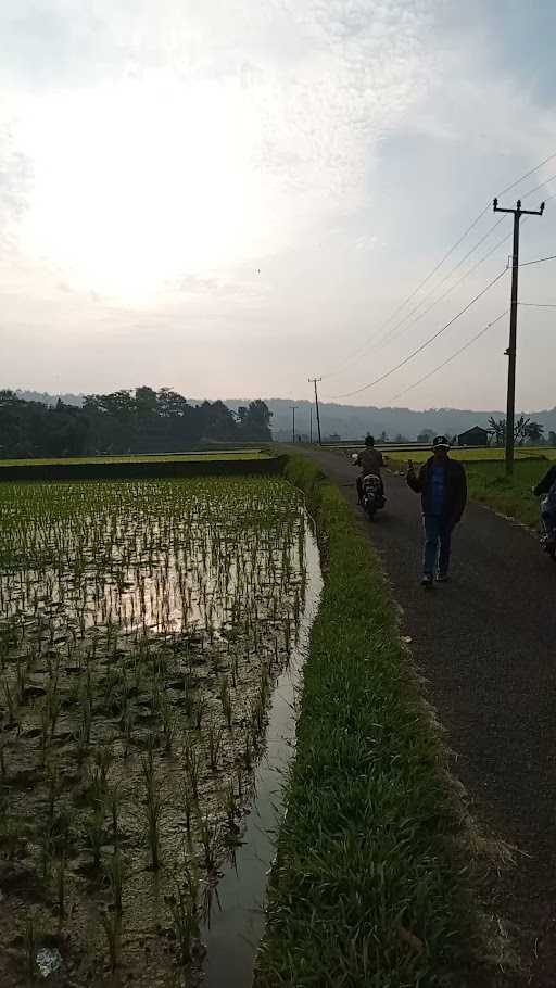 Warung Ujang Baso 3