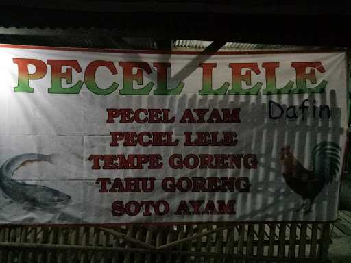 Pecel Lele Dafin 2