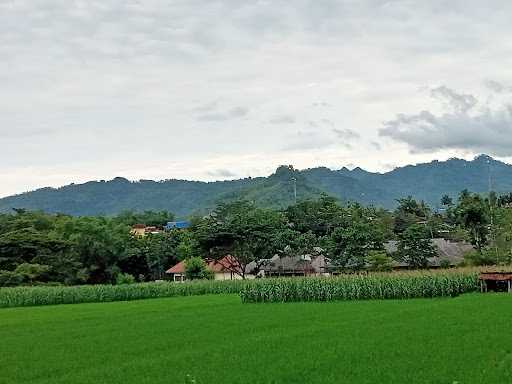 Pemancingan Lele Harianja Jalinan 3