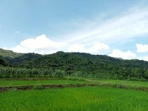 Pemancingan Lele Harianja Jalinan 1