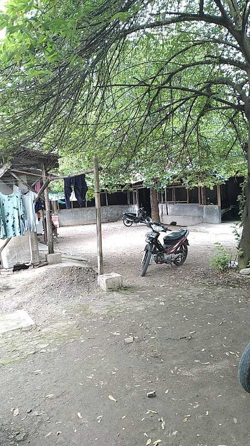 Burger Dan Kedai Fira 1