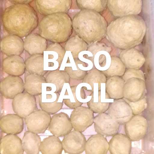 Bacil Baso D'Cilok 7