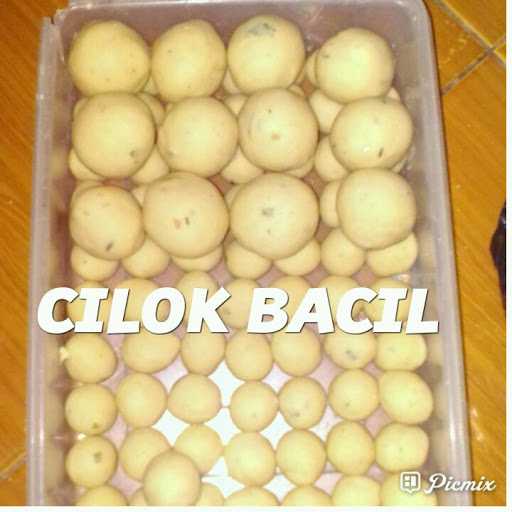 Bacil Baso D'Cilok 3