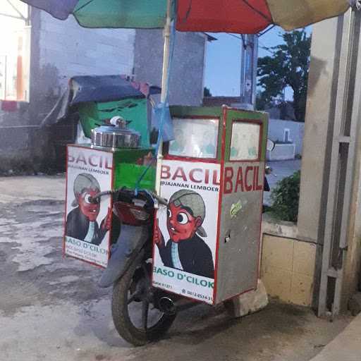 Bacil Baso D'Cilok 8