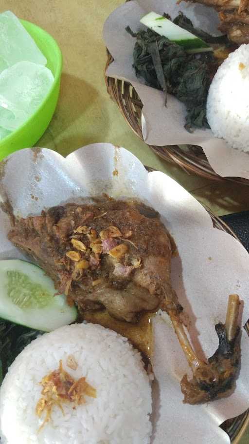 Ayam Bebek Brontak 9