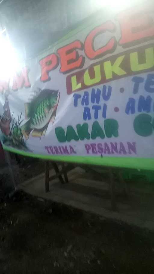 Pecel Lele Cak Amin 5