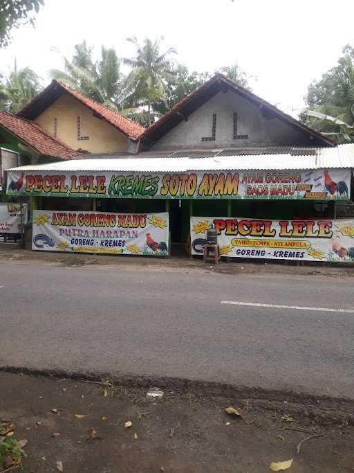 Pecel Lele Putra Harapan 4