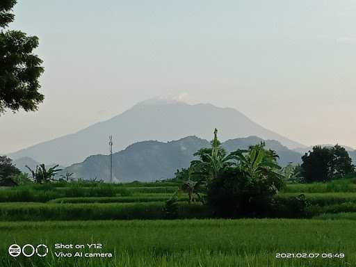 Warung Jawa Lombok 5