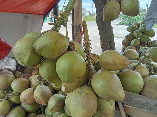 Kelapa Muda 2