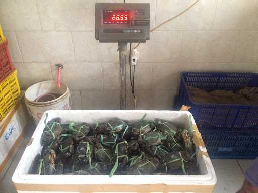 Raja Kepiting Syaiful Crabs Indonesia 2