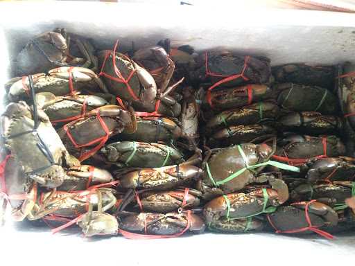 Raja Kepiting Syaiful Crabs Indonesia 10