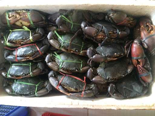 Raja Kepiting Syaiful Crabs Indonesia 1