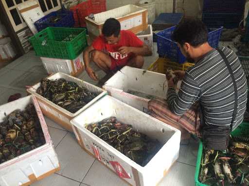 Raja Kepiting Syaiful Crabs Indonesia 9