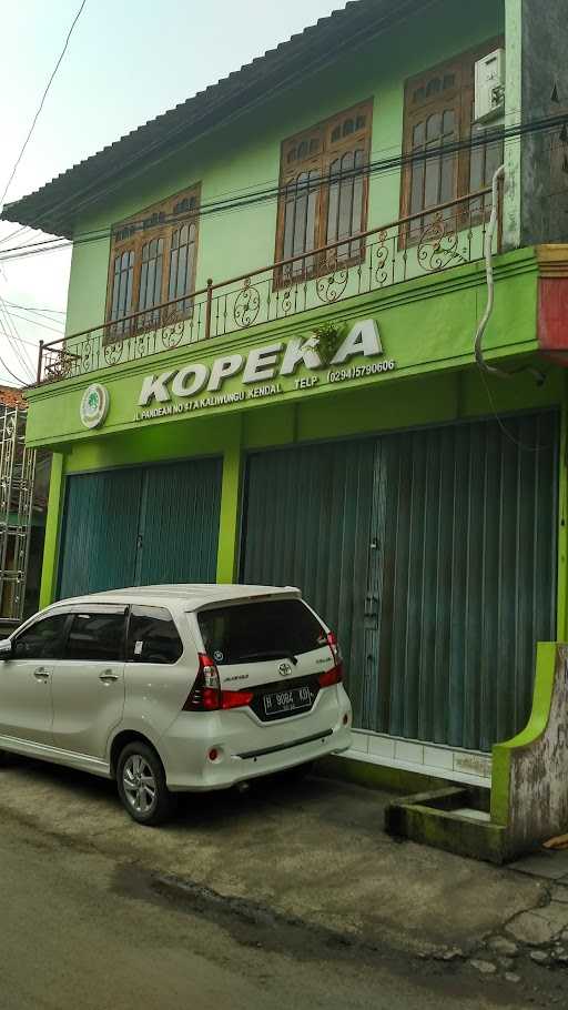 Kopeka 1