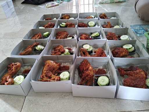 Abt Ayam Bebek Tongki 2